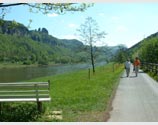 Radwanderweg an der Elbe